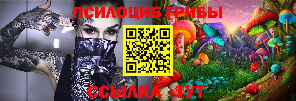 Псилоцибиновые грибы MAGIC MUSHROOMS  Вход с VPN  Нижнекамск 