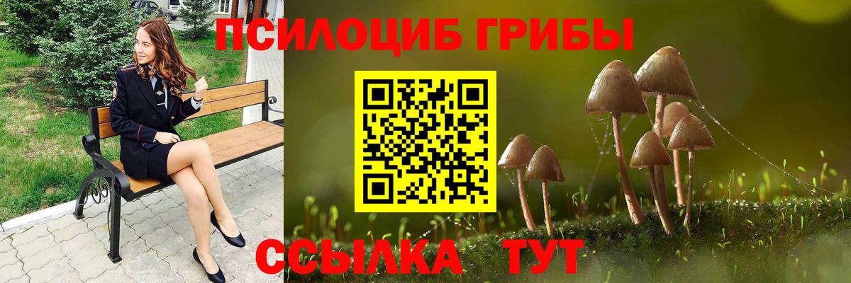 Псилоцибиновые грибы GOLDEN TEACHER Нижнекамск